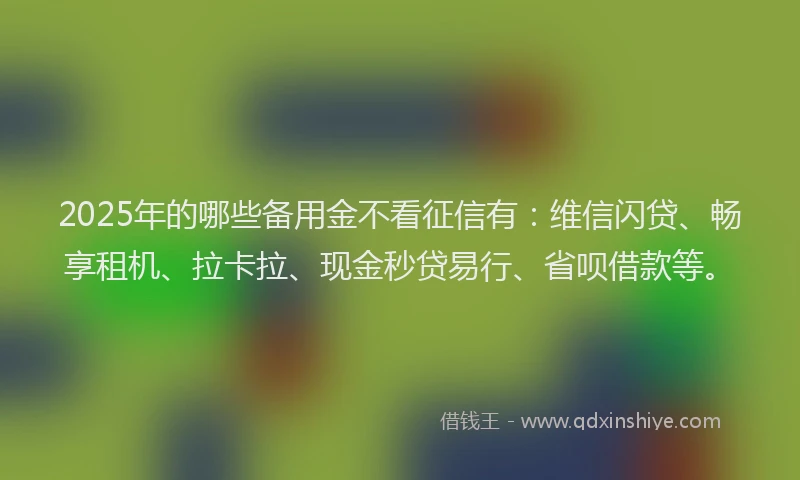 2025年的哪些备用金不看征信有：维信闪贷、畅享租机、拉卡拉、现金秒贷易行、省呗借款等。