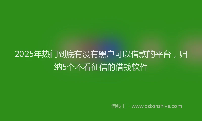 2025年热门到底有没有黑户可以借款的平台，归纳5个不看征信的借钱软件
