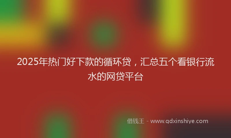2025年热门好下款的循环贷，汇总五个看银行流水的网贷平台