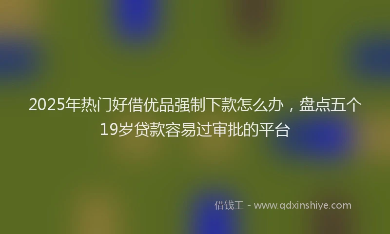 2025年热门好借优品强制下款怎么办，盘点五个19岁贷款容易过审批的平台