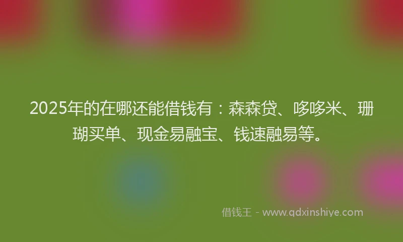 2025年的在哪还能借钱有：森森贷、哆哆米、珊瑚买单、现金易融宝、钱速融易等。