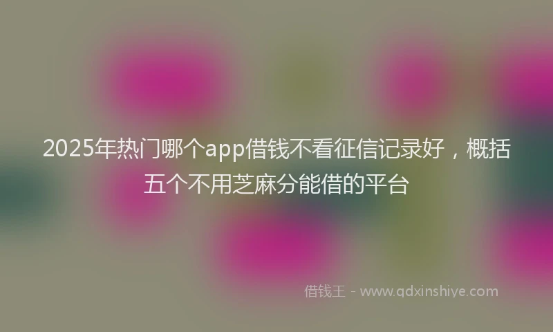 2025年热门哪个app借钱不看征信记录好，概括五个不用芝麻分能借的平台