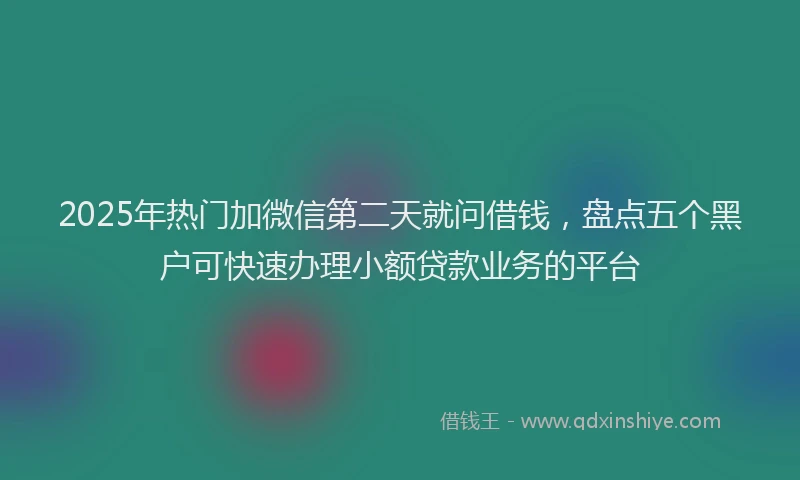 2025年热门加微信第二天就问借钱，盘点五个黑户可快速办理小额贷款业务的平台