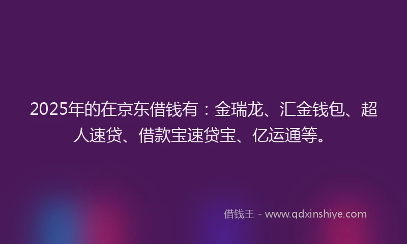 2025年的在京东借钱有：金瑞龙、汇金钱包、超人速贷、借款宝速贷宝、亿运通等。