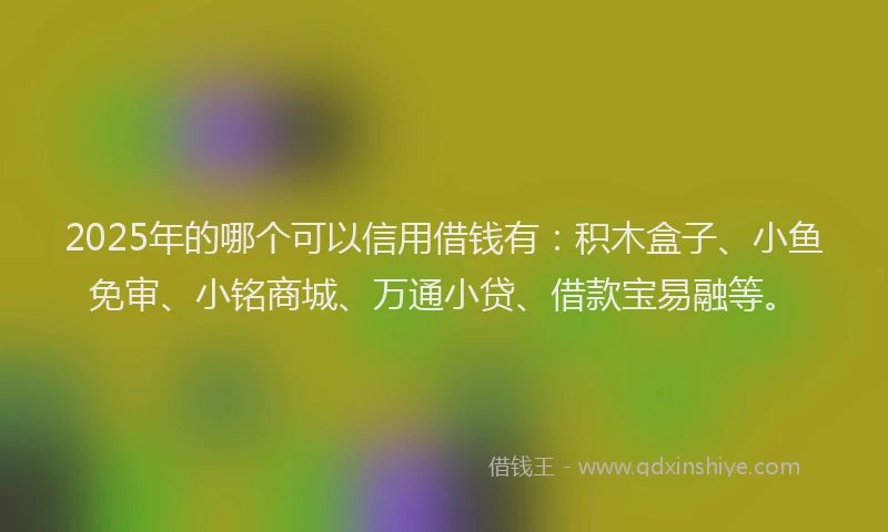 2025年的哪个可以信用借钱有：积木盒子、小鱼免审、小铭商城、万通小贷、借款宝易融等。