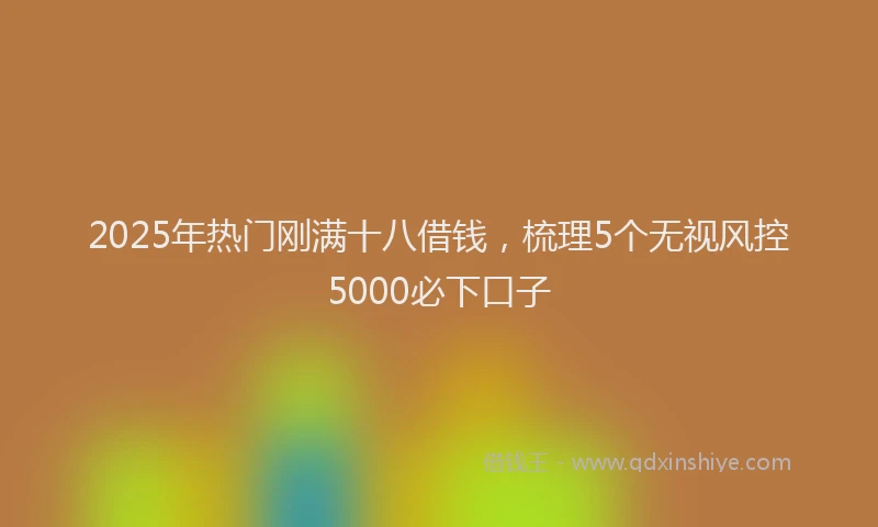 2025年热门刚满十八借钱，梳理5个无视风控5000必下口子