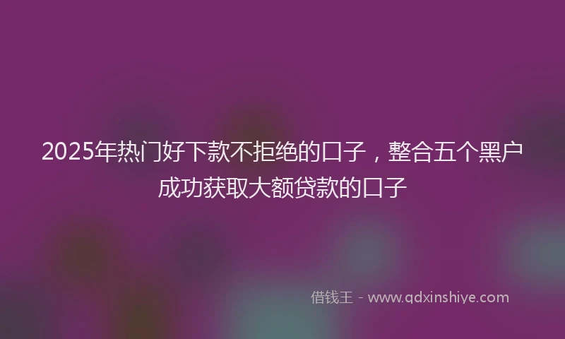 2025年热门好下款不拒绝的口子，整合五个黑户成功获取大额贷款的口子