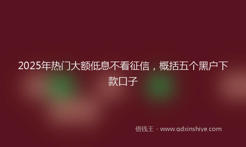 2025年热门大额低息不看征信，概括五个黑户下款口子