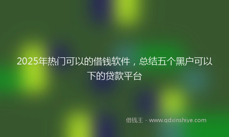 2025年热门可以的借钱软件，总结五个黑户可以下的贷款平台