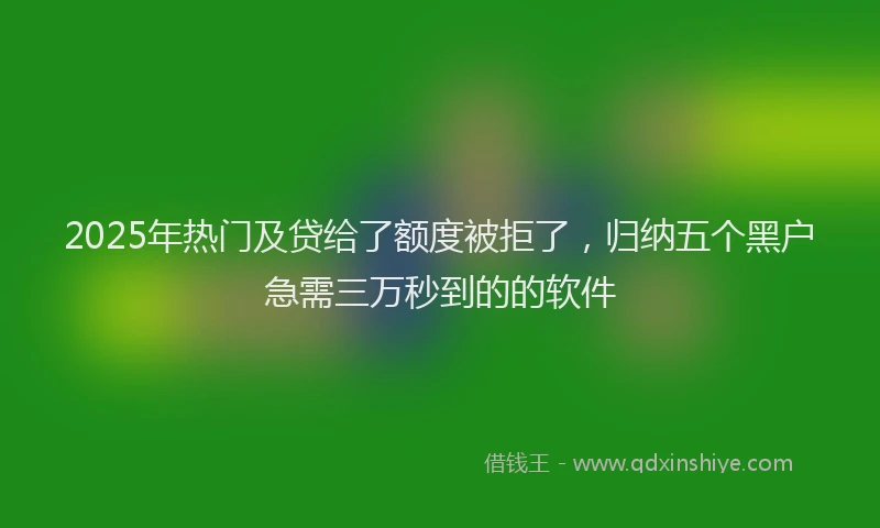 2025年热门及贷给了额度被拒了，归纳五个黑户急需三万秒到的的软件