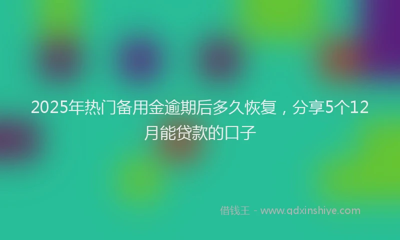2025年热门备用金逾期后多久恢复，分享5个12月能贷款的口子