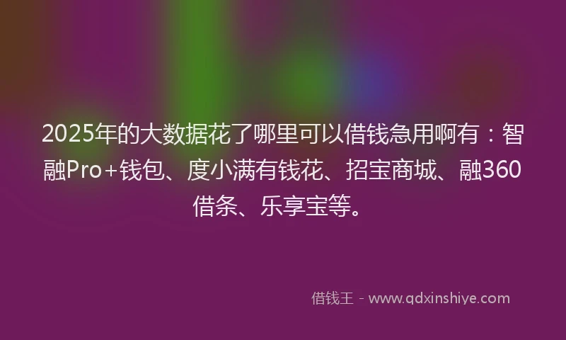 2025年的大数据花了哪里可以借钱急用啊有：智融Pro+钱包、度小满有钱花、招宝商城、融360借条、乐享宝等。