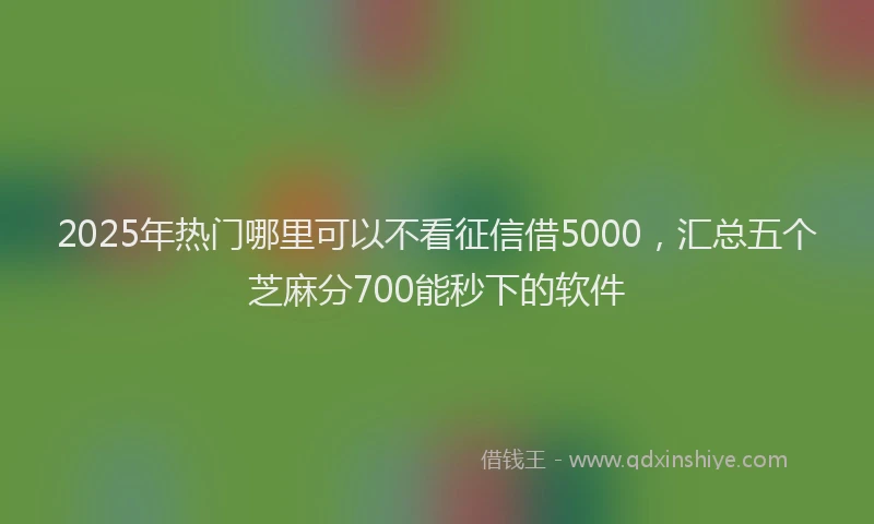 2025年热门哪里可以不看征信借5000，汇总五个芝麻分700能秒下的软件