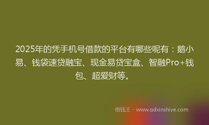 2025年的凭手机号借款的平台有哪些呢有：鹅小易、钱袋速贷融宝、现金易贷宝盒、智融Pro+钱包、超爱财等。