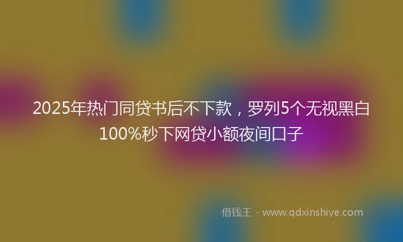 2025年热门同贷书后不下款，罗列5个无视黑白100%秒下网贷小额夜间口子