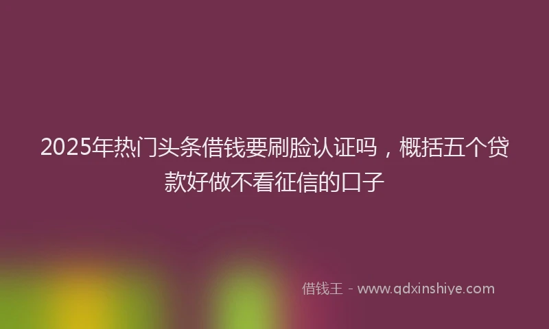 2025年热门头条借钱要刷脸认证吗，概括五个贷款好做不看征信的口子