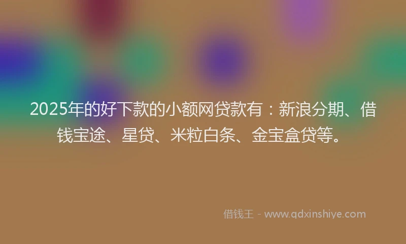 2025年的好下款的小额网贷款有：新浪分期、借钱宝途、星贷、米粒白条、金宝盒贷等。
