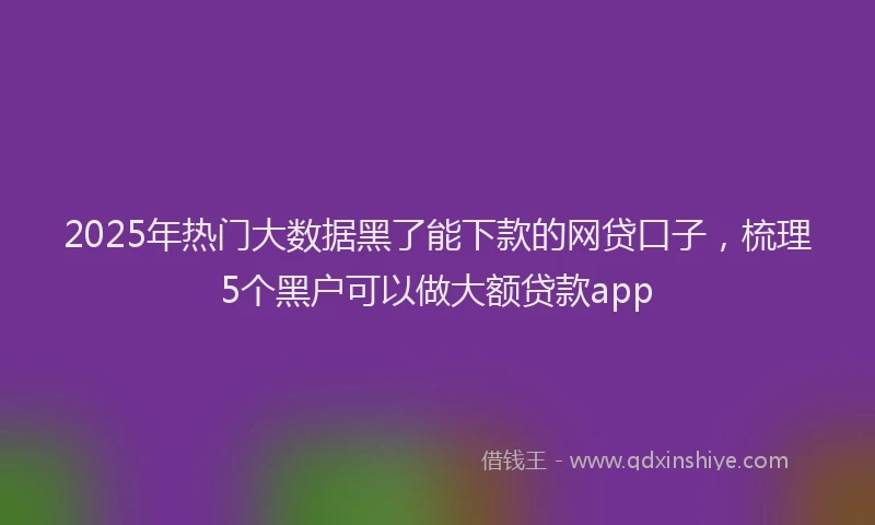 2025年热门大数据黑了能下款的网贷口子，梳理5个黑户可以做大额贷款app
