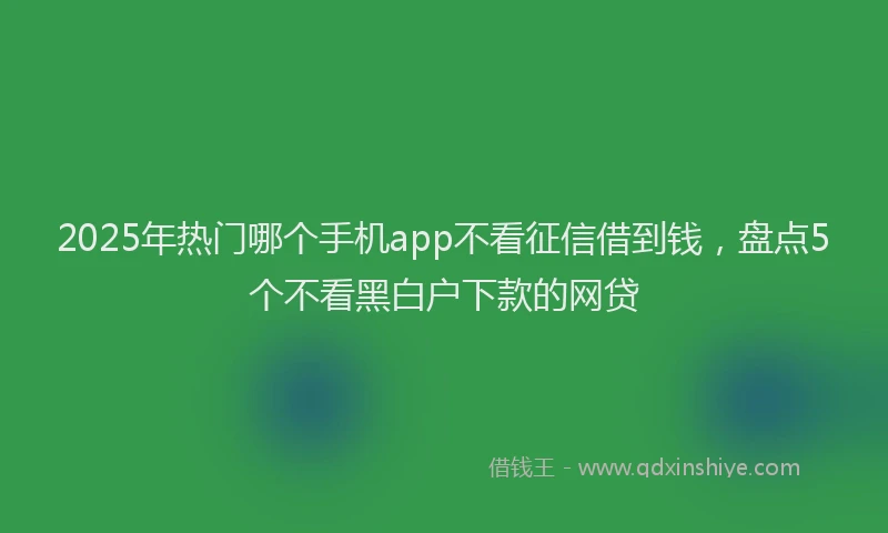 2025年热门哪个手机app不看征信借到钱，盘点5个不看黑白户下款的网贷
