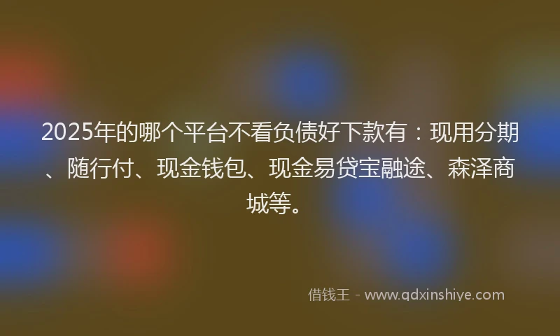 2025年的哪个平台不看负债好下款有：现用分期、随行付、现金钱包、现金易贷宝融途、森泽商城等。