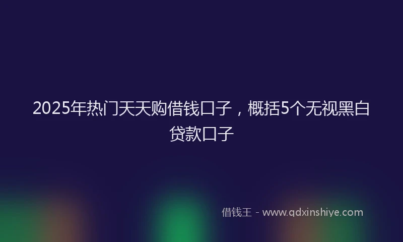 2025年热门天天购借钱口子，概括5个无视黑白贷款口子