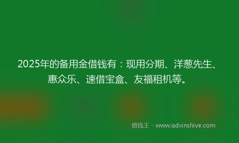 2025年的备用金借钱有：现用分期、洋葱先生、惠众乐、速借宝盒、友福租机等。