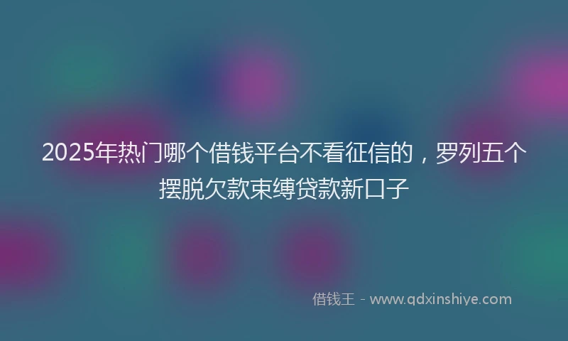2025年热门哪个借钱平台不看征信的，罗列五个摆脱欠款束缚贷款新口子