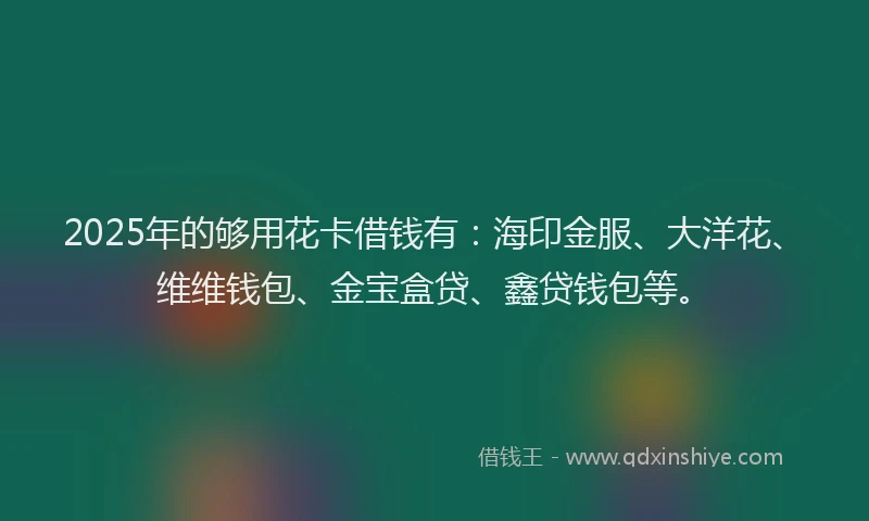 2025年的够用花卡借钱有：海印金服、大洋花、维维钱包、金宝盒贷、鑫贷钱包等。