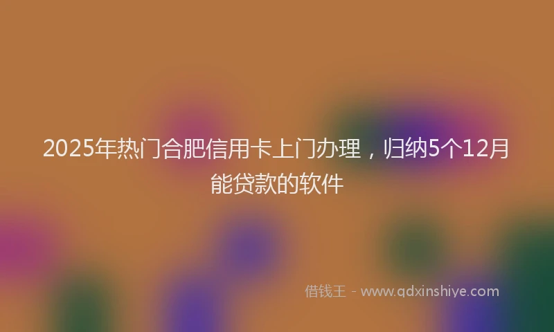 2025年热门合肥信用卡上门办理，归纳5个12月能贷款的软件