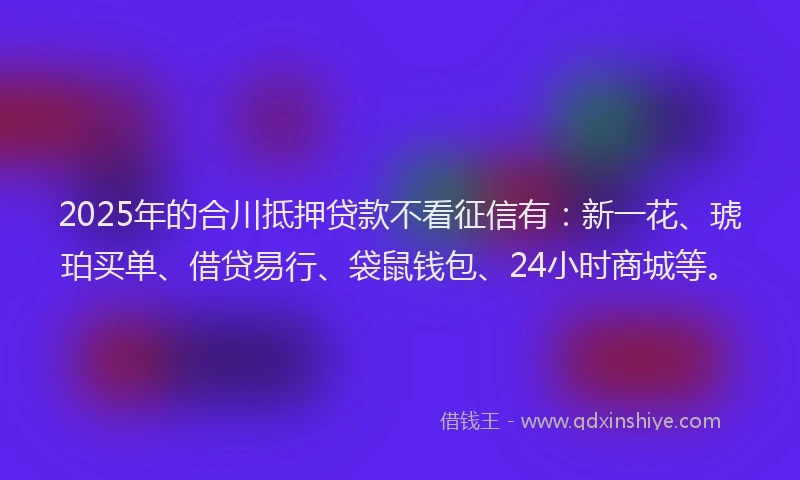 2025年的合川抵押贷款不看征信有：新一花、琥珀买单、借贷易行、袋鼠钱包、24小时商城等。