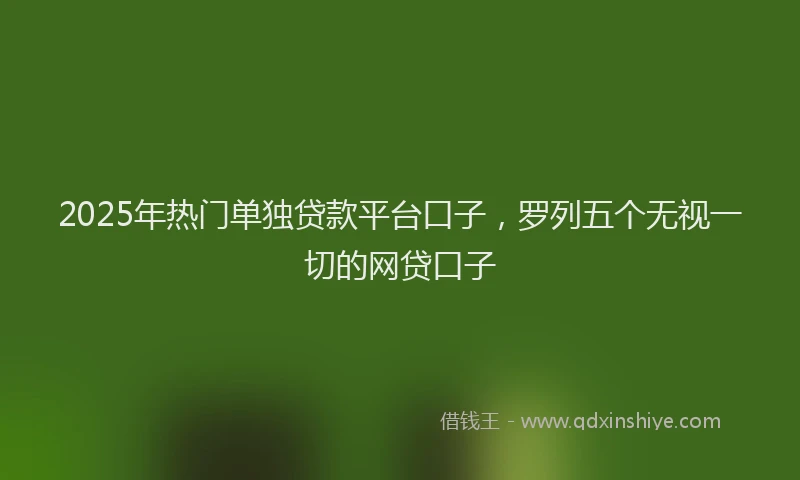 2025年热门单独贷款平台口子，罗列五个无视一切的网贷口子