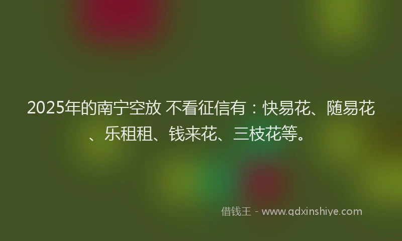 2025年的南宁空放 不看征信有：快易花、随易花、乐租租、钱来花、三枝花等。