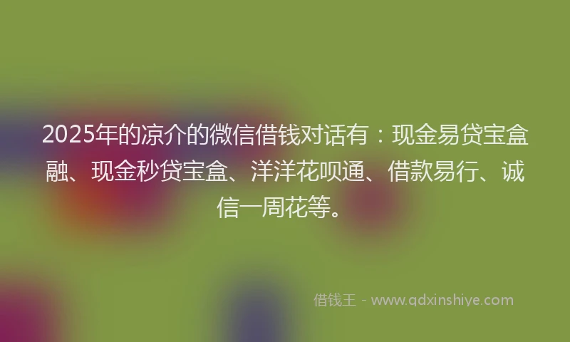 2025年的凉介的微信借钱对话有：现金易贷宝盒融、现金秒贷宝盒、洋洋花呗通、借款易行、诚信一周花等。