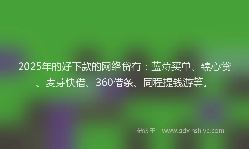 2025年的好下款的网络贷有：蓝莓买单、臻心贷、麦芽快借、360借条、同程提钱游等。