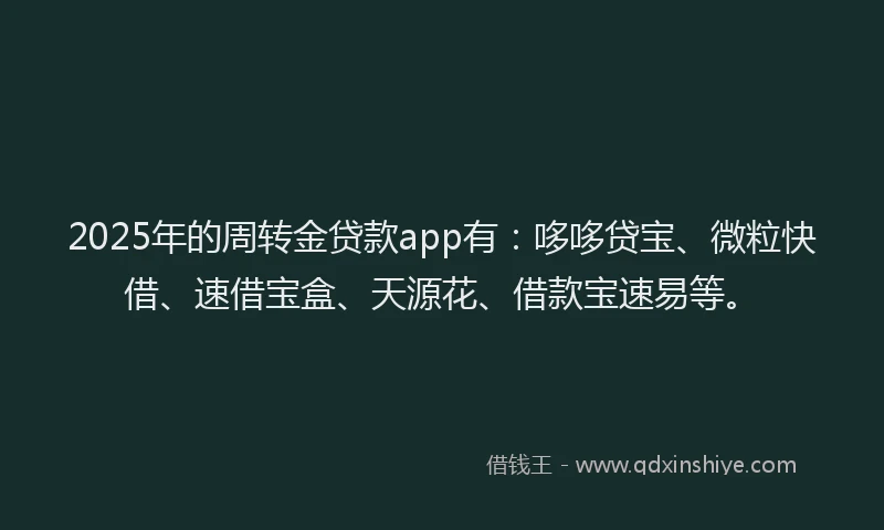 2025年的周转金贷款app有：哆哆贷宝、微粒快借、速借宝盒、天源花、借款宝速易等。