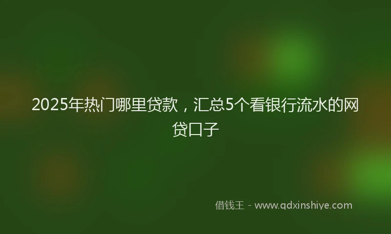 2025年热门哪里贷款，汇总5个看银行流水的网贷口子