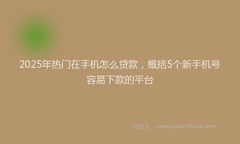 2025年热门在手机怎么贷款，概括5个新手机号容易下款的平台