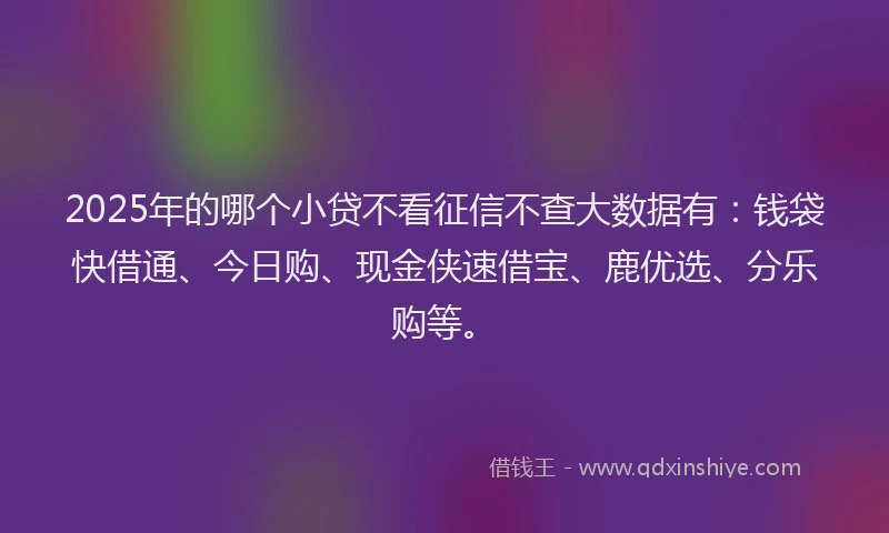 2025年的哪个小贷不看征信不查大数据有：钱袋快借通、今日购、现金侠速借宝、鹿优选、分乐购等。