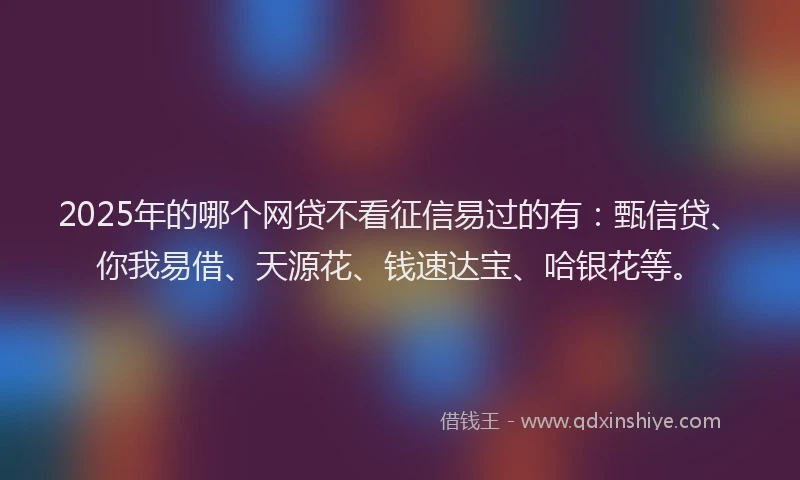 2025年的哪个网贷不看征信易过的有：甄信贷、你我易借、天源花、钱速达宝、哈银花等。