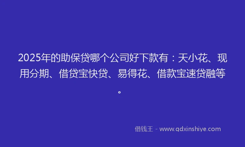 2025年的助保贷哪个公司好下款有：天小花、现用分期、借贷宝快贷、易得花、借款宝速贷融等。