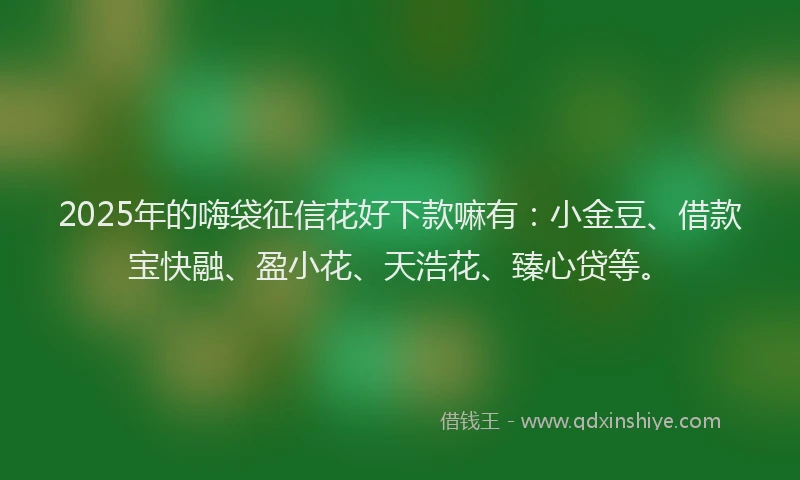 2025年的嗨袋征信花好下款嘛有：小金豆、借款宝快融、盈小花、天浩花、臻心贷等。