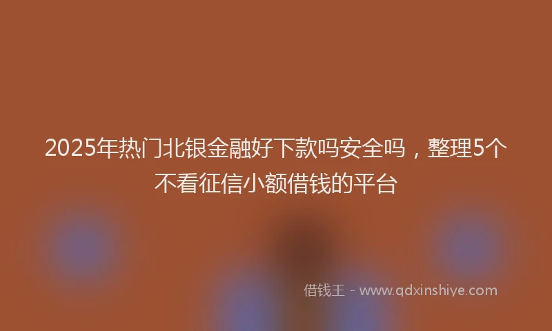 2025年热门北银金融好下款吗安全吗，整理5个不看征信小额借钱的平台