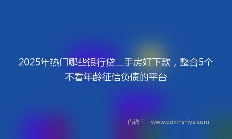 2025年热门哪些银行贷二手房好下款，整合5个不看年龄征信负债的平台