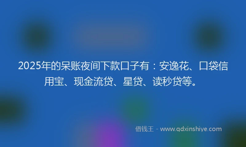 2025年的呆账夜间下款口子有：安逸花、口袋信用宝、现金流贷、星贷、读秒贷等。