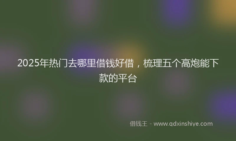 2025年热门去哪里借钱好借，梳理五个高炮能下款的平台