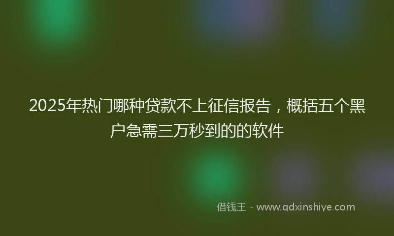 2025年热门哪种贷款不上征信报告，概括五个黑户急需三万秒到的的软件