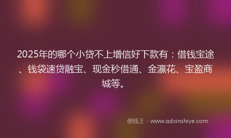 2025年的哪个小贷不上增信好下款有：借钱宝途、钱袋速贷融宝、现金秒借通、金瀛花、宝盈商城等。