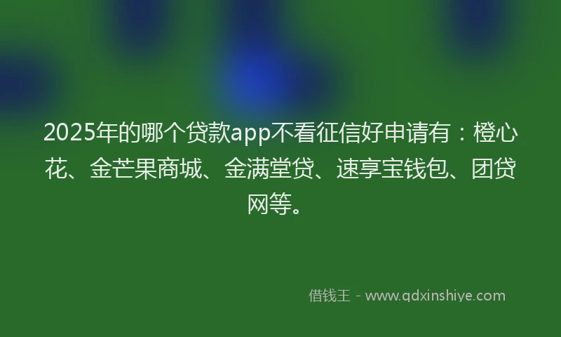 2025年的哪个贷款app不看征信好申请有：橙心花、金芒果商城、金满堂贷、速享宝钱包、团贷网等。