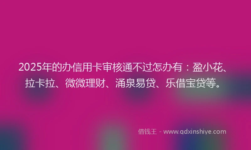 2025年的办信用卡审核通不过怎办有：盈小花、拉卡拉、微微理财、涌泉易贷、乐借宝贷等。