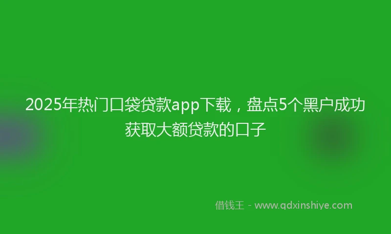 2025年热门口袋贷款app下载，盘点5个黑户成功获取大额贷款的口子